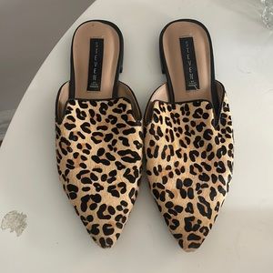 Leopard print flats, Steven by Steve Madden.
